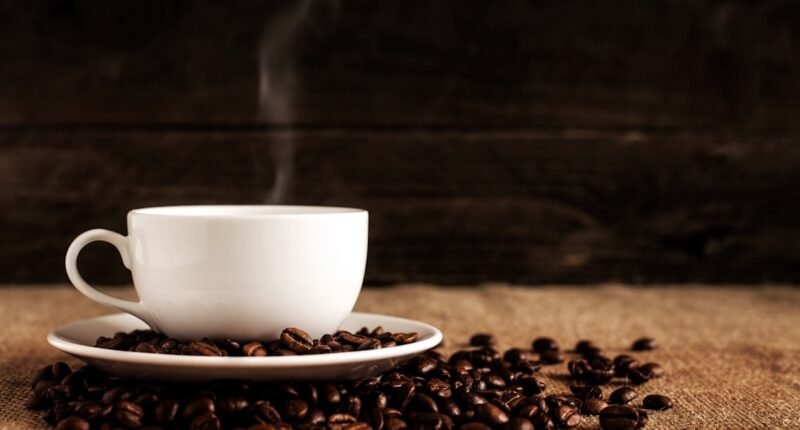 Borra de Café na Pia Entope? A Ciência Explica Por Que Você Deve Parar Agora!