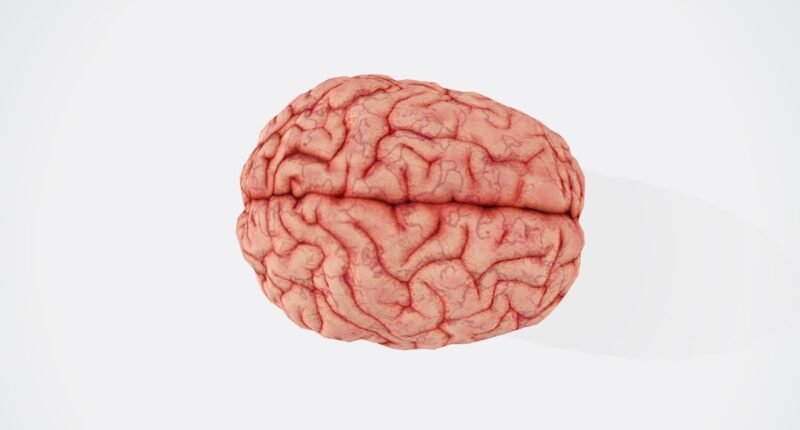 ChatGPT Reduz Atividade Cerebral? Estudo do MIT Alerta Sobre o Risco