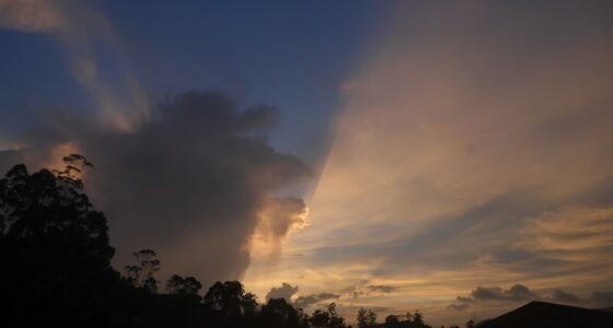 Chuva de Meteoros Delta Aquáridas: Fenômeno Ilumina o Céu Brasileiro e Como Observar