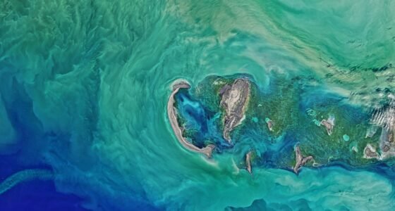 Google Earth Desativa IA Geradora de Imagens Falsas: O Fim de Uma Tecnologia Controversa?