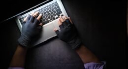 Leilões Online: Como Se Proteger de Golpes e Fazer Bons Negócios
