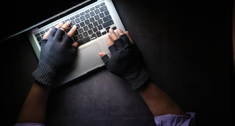 Leilões Online: Como Se Proteger de Golpes e Fazer Bons Negócios