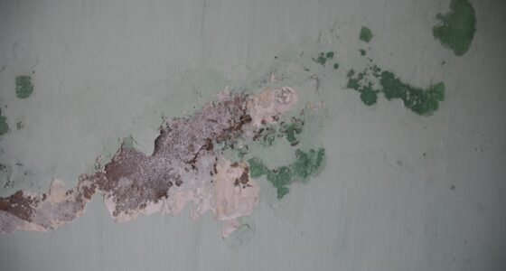 Mofo no Drywall? Guia Completo para Remover e Prevenir a Umidade de Vez!