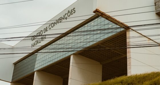 Por Que o Governo Recuou na Regulação de Big Techs via Cade?