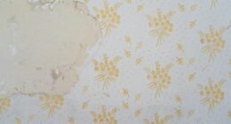 Truque Simples com Amaciante Facilita a Remoção de Papel de Parede Antigo