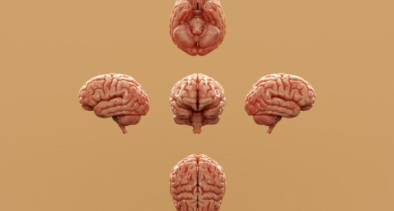 50+? Evite Estes 3 Hábitos Para Blindar Seu Cérebro