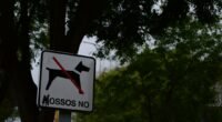 Cães Proibidos no Mundo: Conheça as Raças Restritas e os Motivos