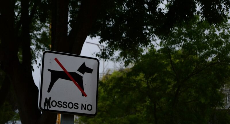 Cães Proibidos no Mundo: Conheça as Raças Restritas e os Motivos