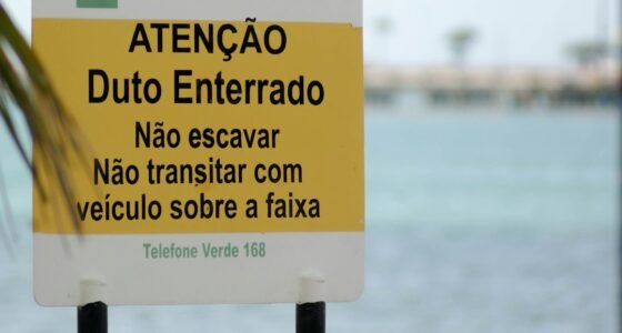 Califórnia Lidera: Nova Lei Exige Transparência Total para IA em Anúncios