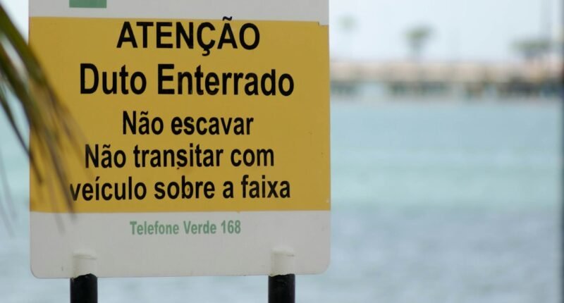 Califórnia Lidera: Nova Lei Exige Transparência Total para IA em Anúncios