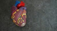 Cirurgia Cardíaca com IA: O 'GPS do Coração' Que Permite Alta no Mesmo Dia