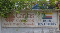 Cores Registradas: Quais Marcas Impedem o Uso de Seus Tons?