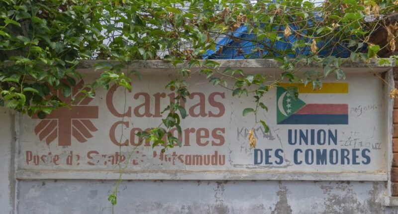 Cores Registradas: Quais Marcas Impedem o Uso de Seus Tons?