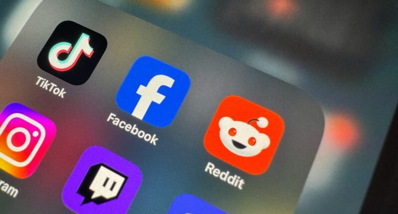 Governo Pede Urgência para Discord Mudar e Proteger Crianças e Mulheres