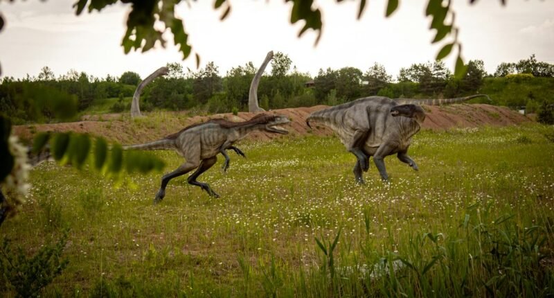 Pena em Cocô de Dinossauro: O Segredo de Como as Aves Escaparam da Extinção