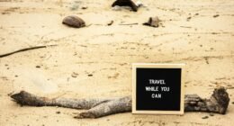 Waze: 7 Funções Pouco Conhecidas que Vão Revolucionar Suas Viagens