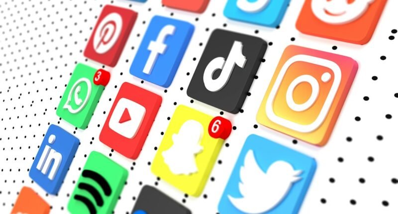Como Denunciar Redes Sociais: ANPD Lança Canal Exclusivo para Proteger Seus Direitos Digitais