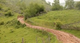 Corrida à Lua: A Disputa Silenciosa pelos Recursos Lunares e a Zona Cinzenta da Propriedade