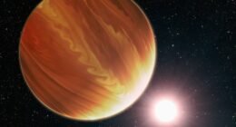 Descoberto Planeta Fênix: Um Gigante Gasoso Renascido das Cinzas de uma Estrela Morta!
