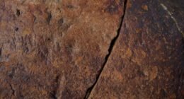 Neandertais: A Verdadeira Idade da Madeira Revelada por Descobertas Chocantes!