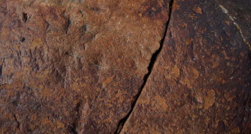 Neandertais: A Verdadeira Idade da Madeira Revelada por Descobertas Chocantes!