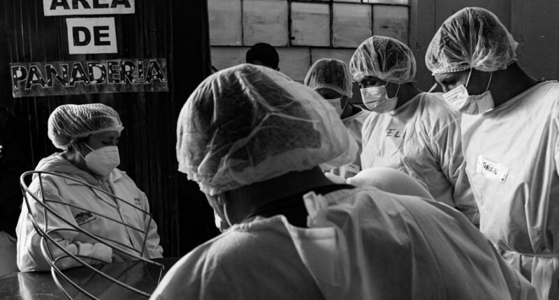 Revolução no Pré-Natal: Como a IA Leva Ultrassom Essencial a Locais Sem Médicos